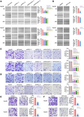 PRC1 and RACGAP1 are Diagnostic Biomarkers of Early HCC and PRC1 Drives Self-Renewal of Liver Cancer Stem Cells